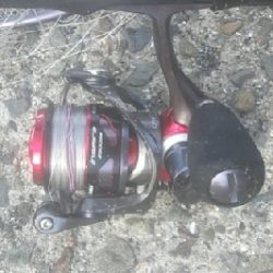 台風後のメクリアジ狙い 兼 リール使用感の確認