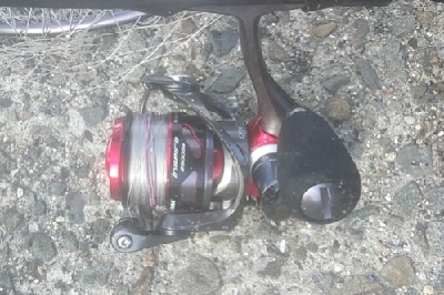 台風後のメクリアジ狙い 兼 リール使用感の確認