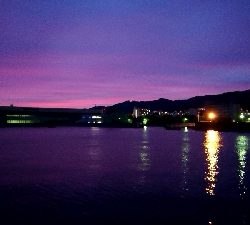 さくっとタチウオ