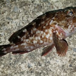 悪くないけれど