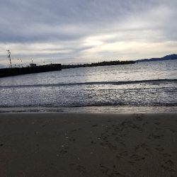 今日は一人でキス釣り