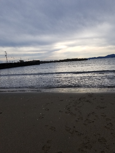 今日は一人でキス釣り