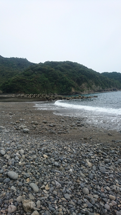 サーフライトショアジギング矢井賀