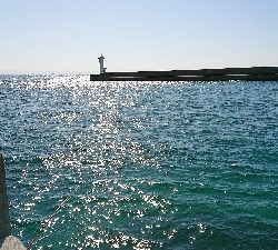 コフダイ釣り大きな当たり無し