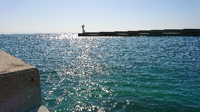 コフダイ釣り大きな当たり無し