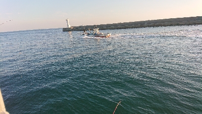 淡路島から6ヶ月ぶりのコフダイ40センチ超