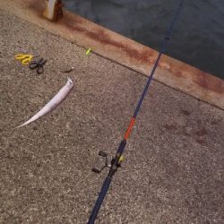 一応3種釣り達成しました