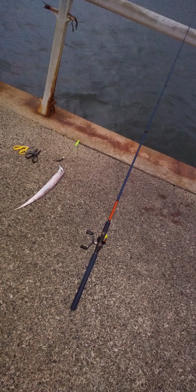 一応3種釣り達成しました