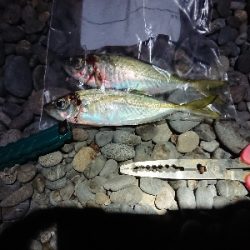 南蛮漬けが食べたい❗