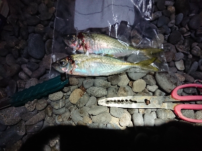 南蛮漬けが食べたい❗