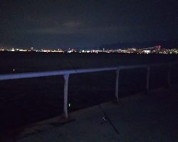 どじょう最強！