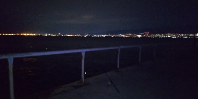 どじょう最強！