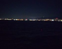 あっと言う間に時合終了