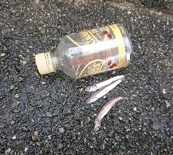 15 分だけのチャンス