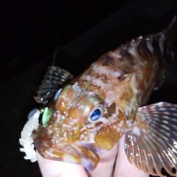 今日もいまいち