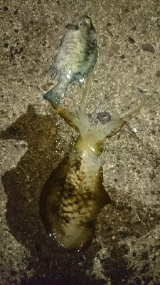 再びマルチヒット!!