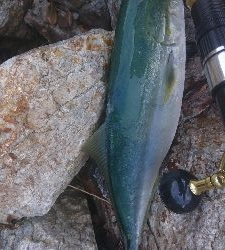 仕事終わりの残業