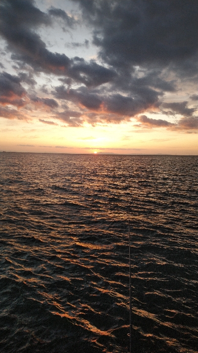 タチウオ激渋…