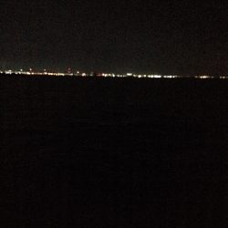 ハマチは好調だかタチウオは…