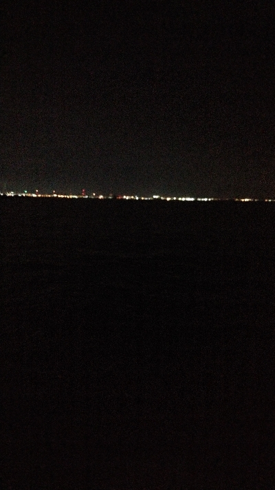 ハマチは好調だかタチウオは…