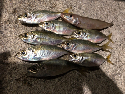 南蛮漬けが食べたくて