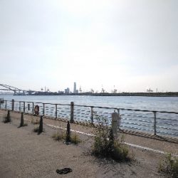 ハマチのちボラー