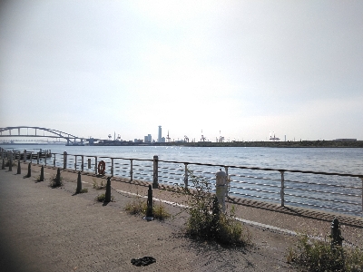 ハマチのちボラー