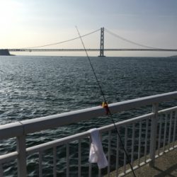 自作仕掛けでサヨリ釣り