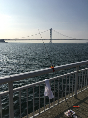 自作仕掛けでサヨリ釣り