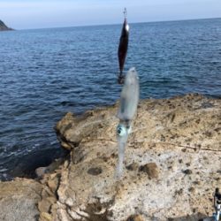 竹野浜ランガン エギング