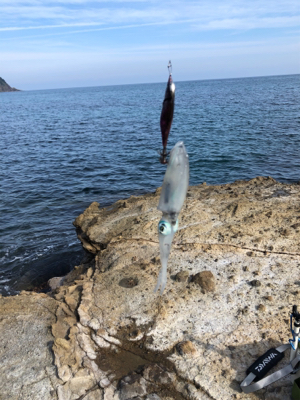 竹野浜ランガン エギング