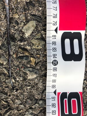 メタルバイブに助けられた^ ^笑