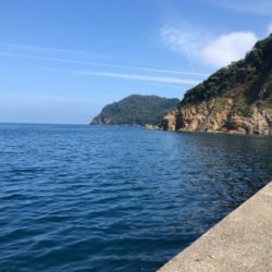 ボトムのペンペン