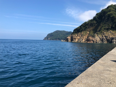 ボトムのペンペン