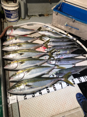 タチパターン オーシャンスター