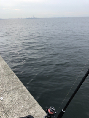 台風前に荒ぐい狙って