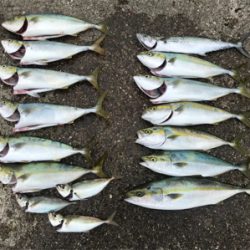 ショアジギング