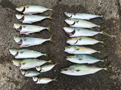 ショアジギング