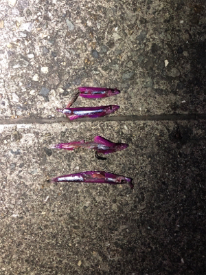 タッチー喰いが渋い（泣）