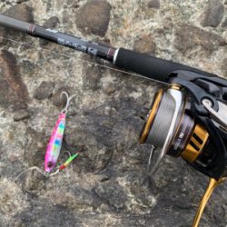 ワンピッチでヒラメ