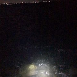 少し荒れてた方が釣れる?σ(^_^;)