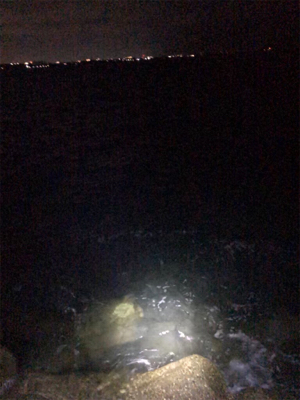 少し荒れてた方が釣れる?σ(^_^;)