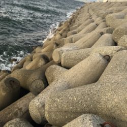 ライトゲーム‼︎