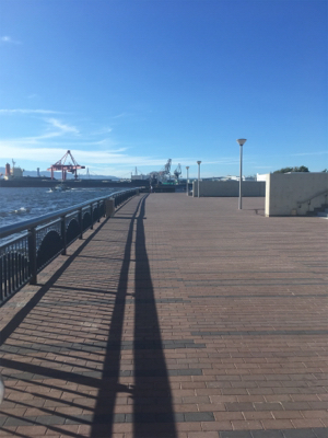 天保山 ウキ太刀魚のつもりが…