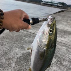 昨日のリベンジ