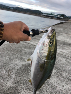 昨日のリベンジ