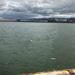 釣れる迄帰れません!