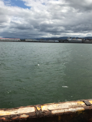 釣れる迄帰れません!