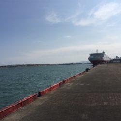 宮崎港でチヌ釣り