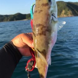 マイボートではじめてのポイントへ